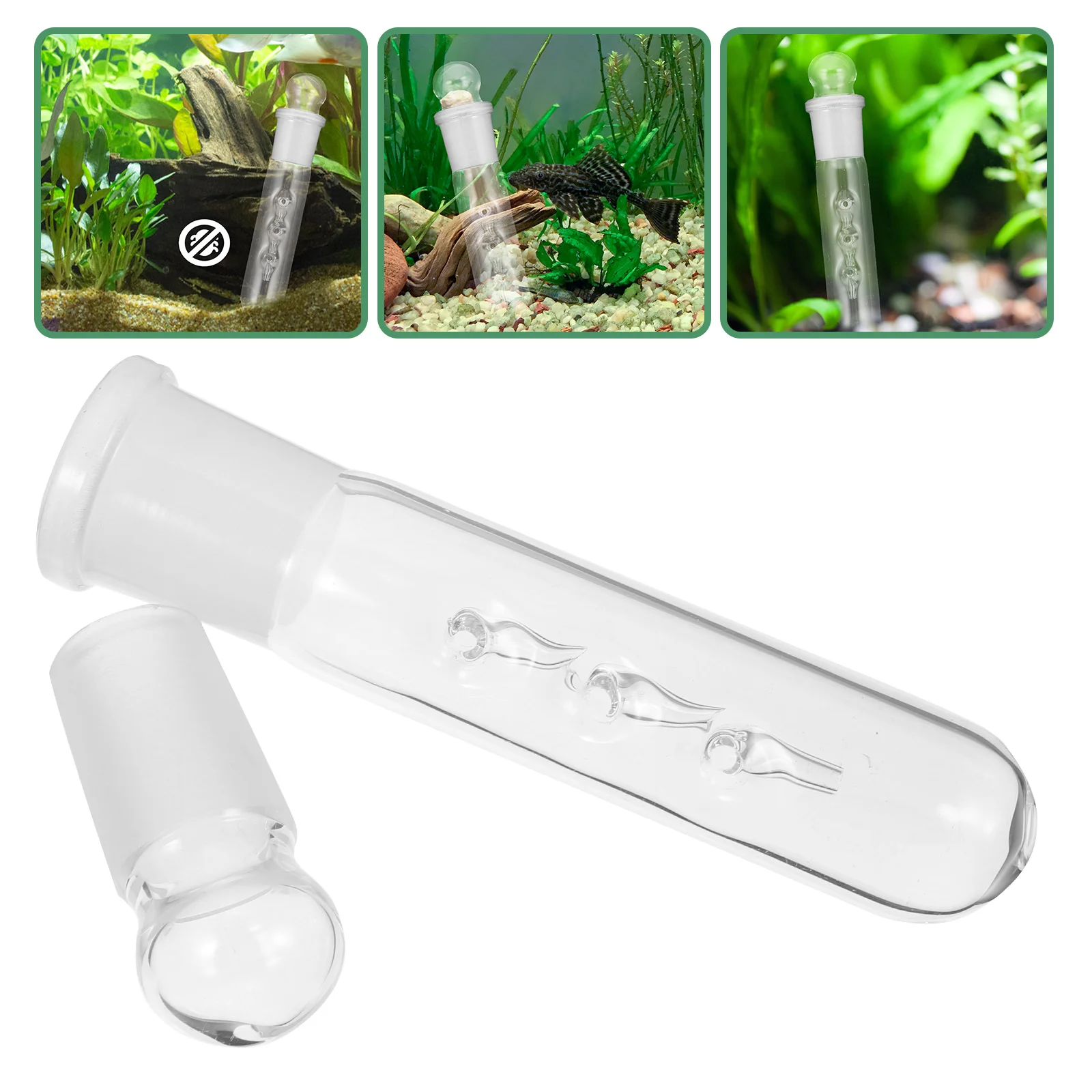 

Planaria Traps Aquarium Planaria Catcher Fish Tank Worm Catchers Remover Leech Flatworm Trap