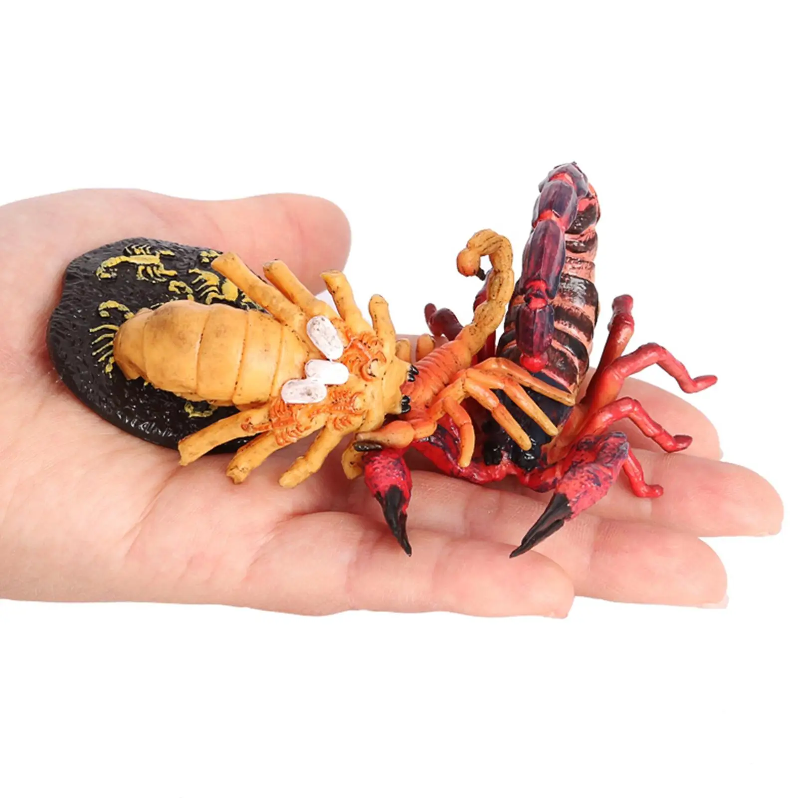 

4Pcs Nature Scorpion Growth Cycle Child Education Learning Teaching Toy Red