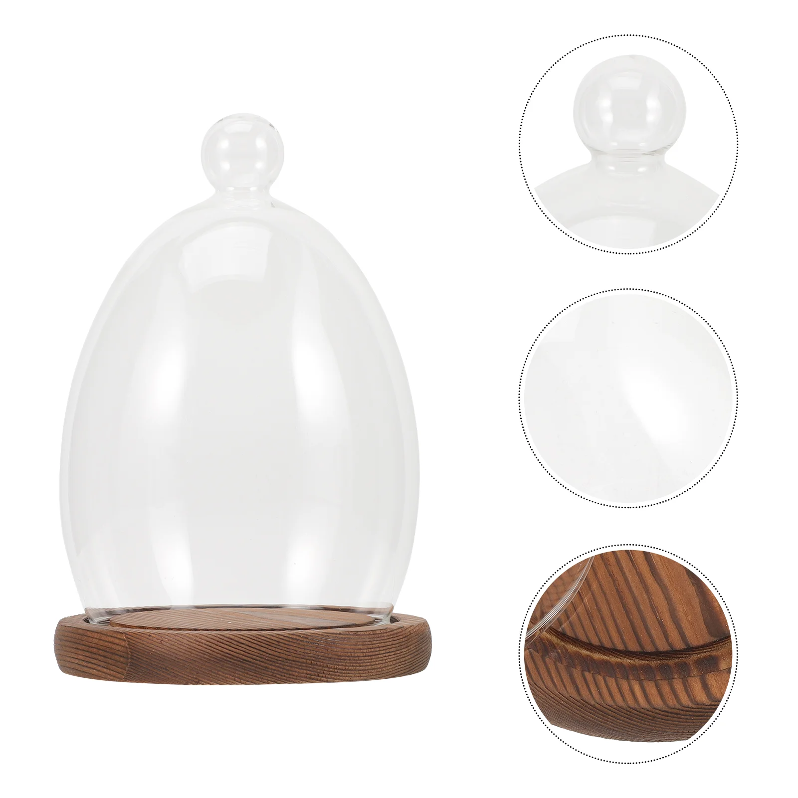 

Egg Glass Cover Display Dome Wood Base Clear Preserved Flower Craft Desktop Decor