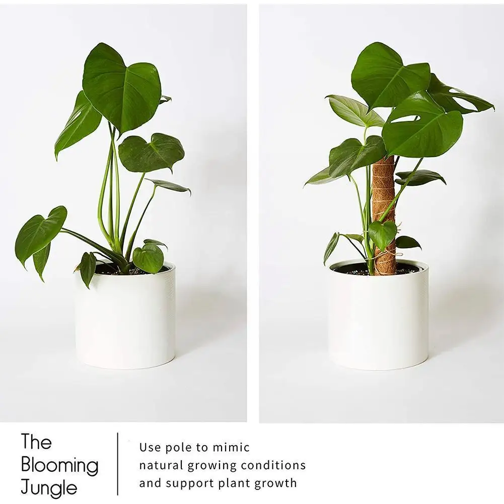 

Safe Plant Cages Supports Reusable Plant Climbing Stand Durable Flower Plants Support For Balcony Garden Courtyard Easy To L8r3