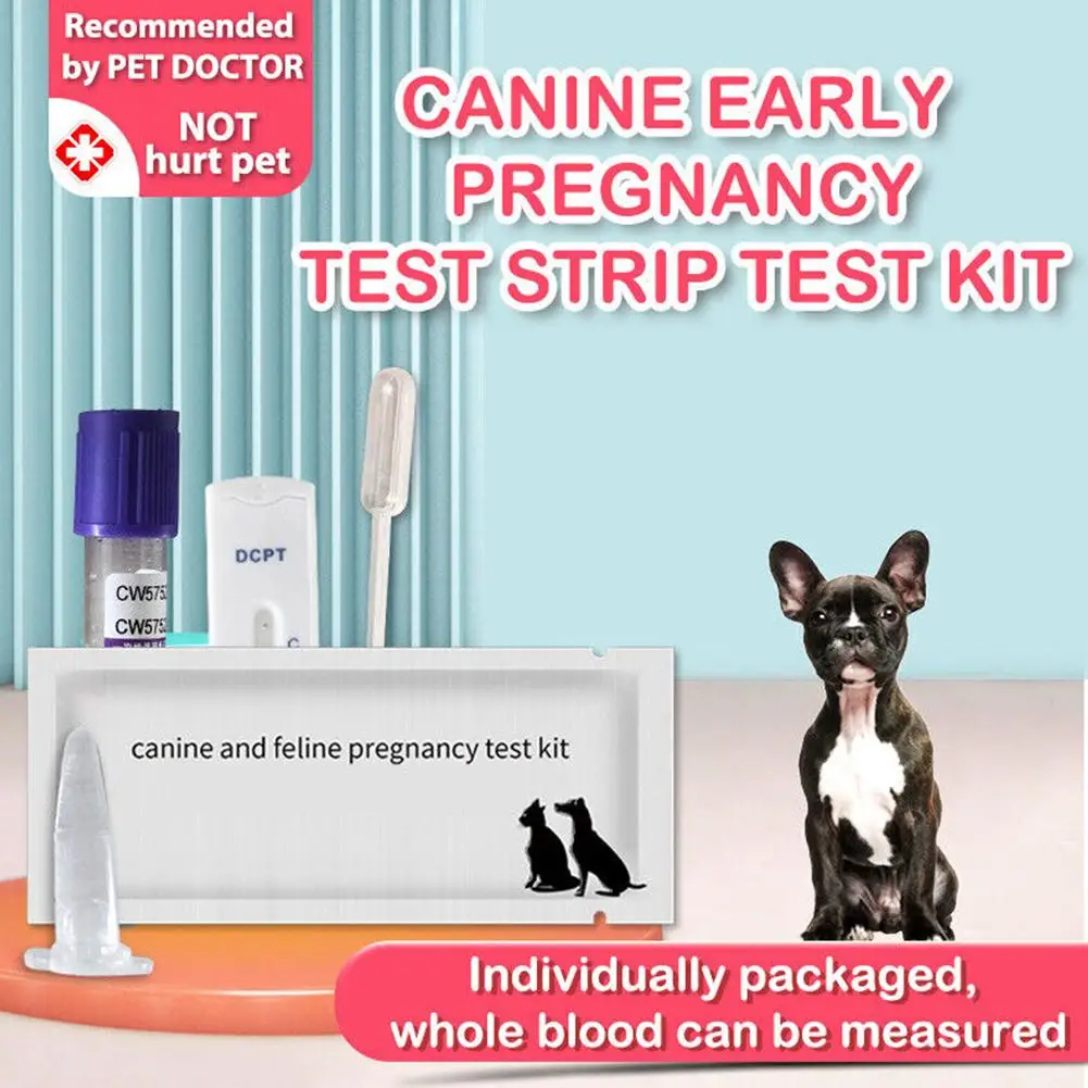 

Canine Feline Early Pregnancy Test Strips Kit Blood Serum Method For Pet Dog Cat Husky Corgi Golden Retriever Test Q3I6