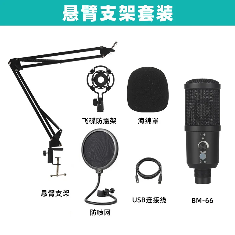 

JIY computer USB condenser microphone anchor K song recording noise reduction microphone live broadcast equipment set