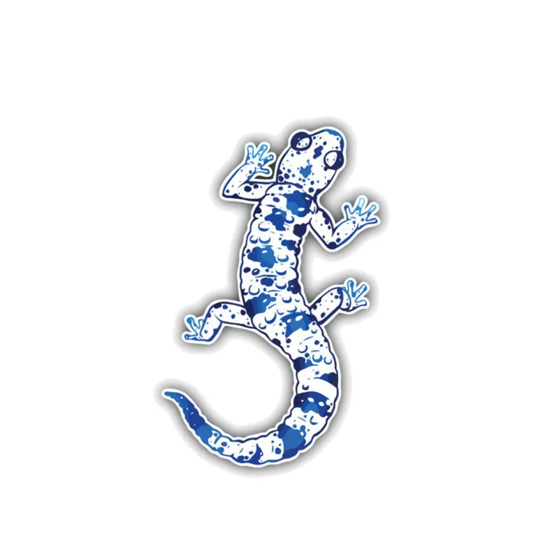 

Funny Cartoon Animal Decals Salamander Warning Car Sticker PVC F37