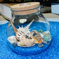 aquarium landscaping fish tank decoration shell conch photography props natural craft scallops mixed bag random style
