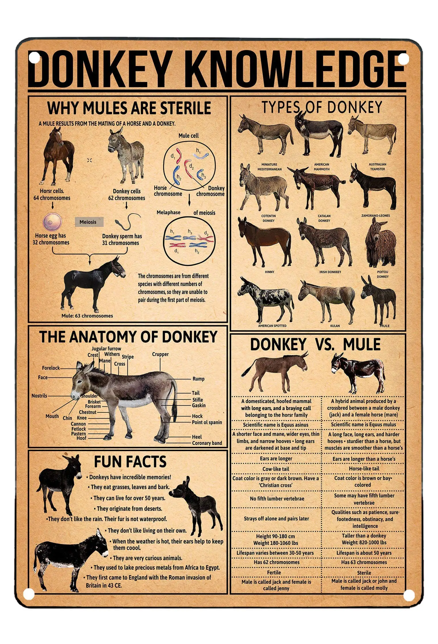 

Donkey Knowledge Metal Tin Planning Infographic Poster Plaque for School Education Club Home Wall Decor Wall Decor Metal 8X12in