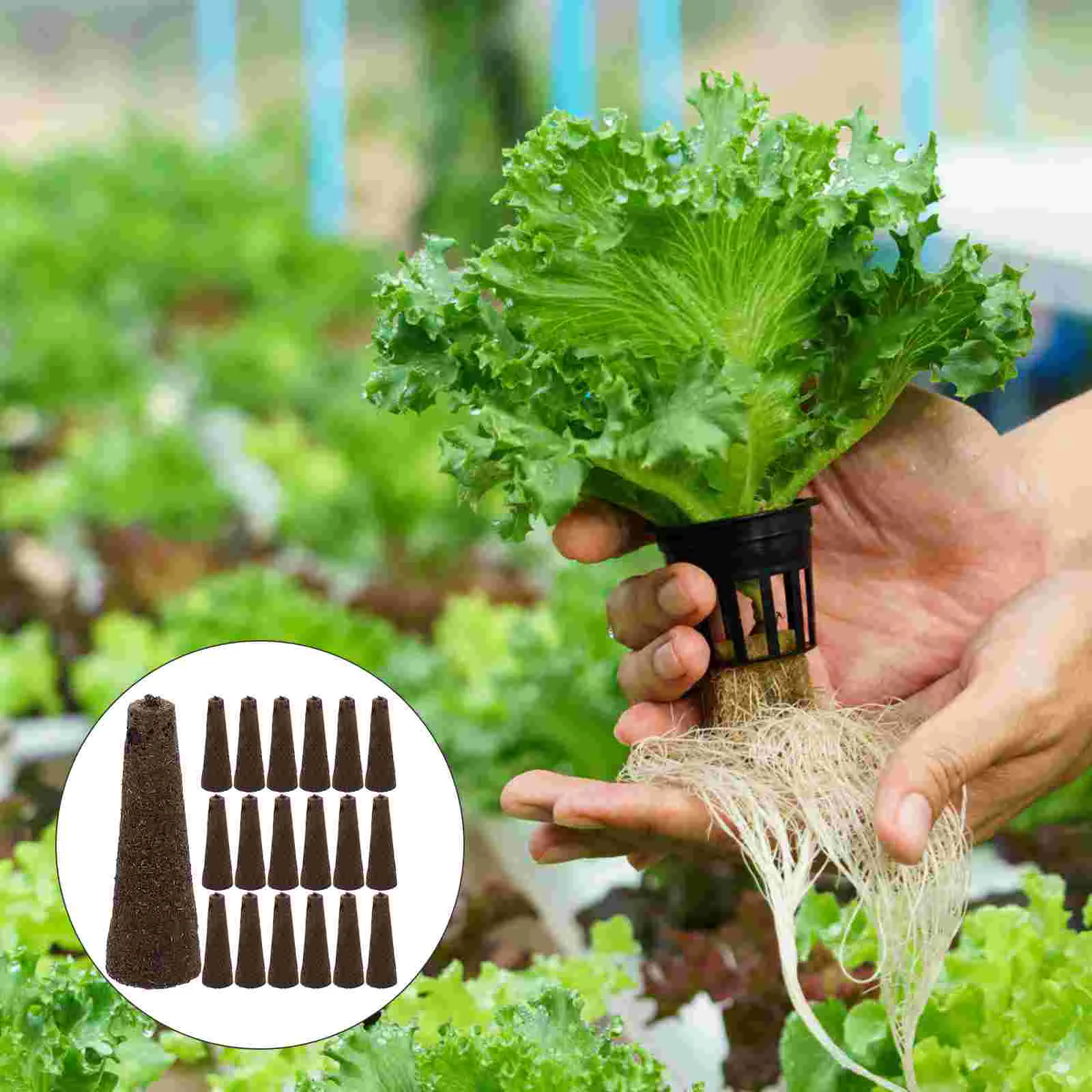 

50 Pcs Accessories Cultivate Seedlings Vegetable Planting Sponge Peat Soilless Cultivation