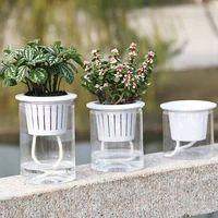 hydroponic plant flower pot transparent self watering plant flower pot pp resin planter tabletop home garden decor