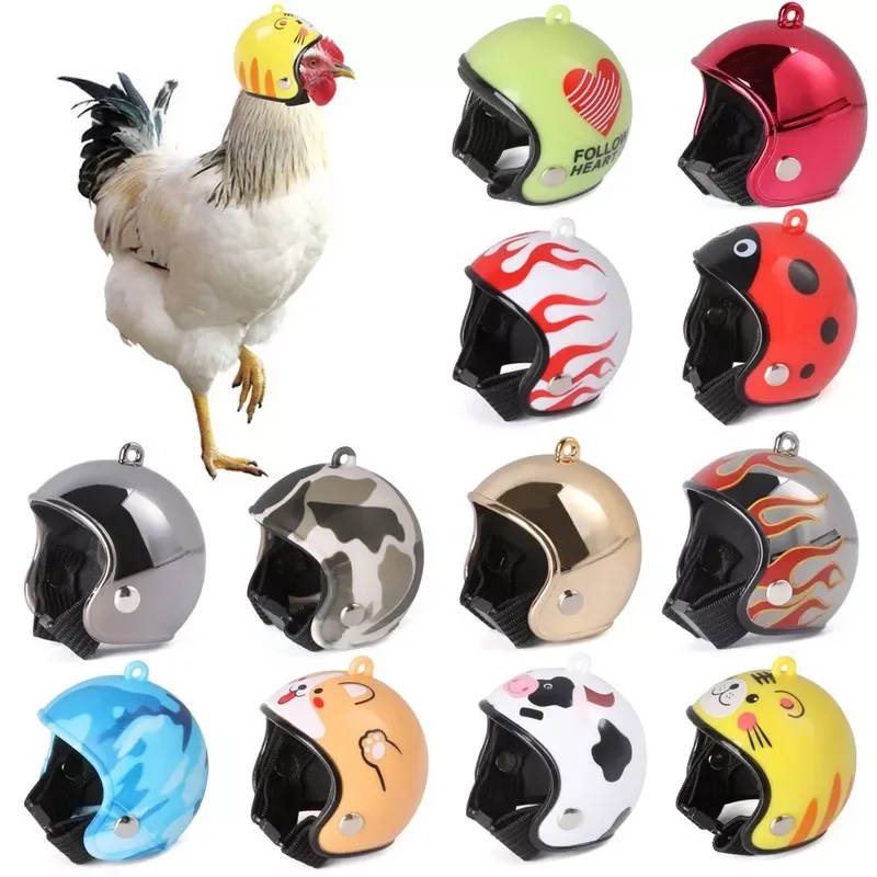 

Chicken Helmet Small Pet Hard Hat Bird Duck Quail Hat Headgear Pet Chicken Helmet Bird Head Helmet Pet Supplies