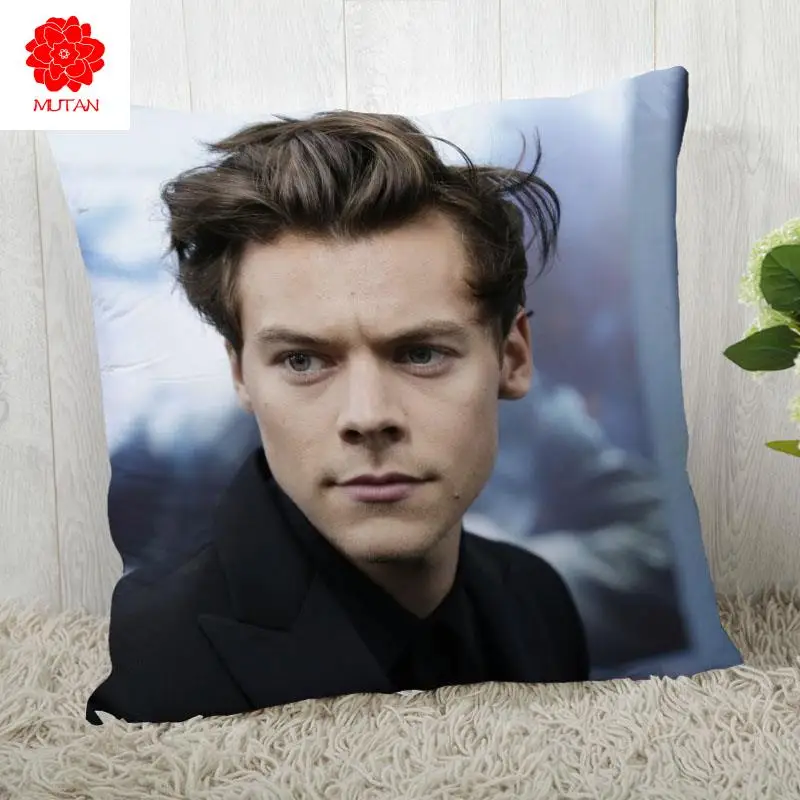 

Наволочка в стиле Гарри, наволочка для подушки на заказ, современный домашний декоративный чехол для подушки для гостиной, 45x45 см, A2020.6.15