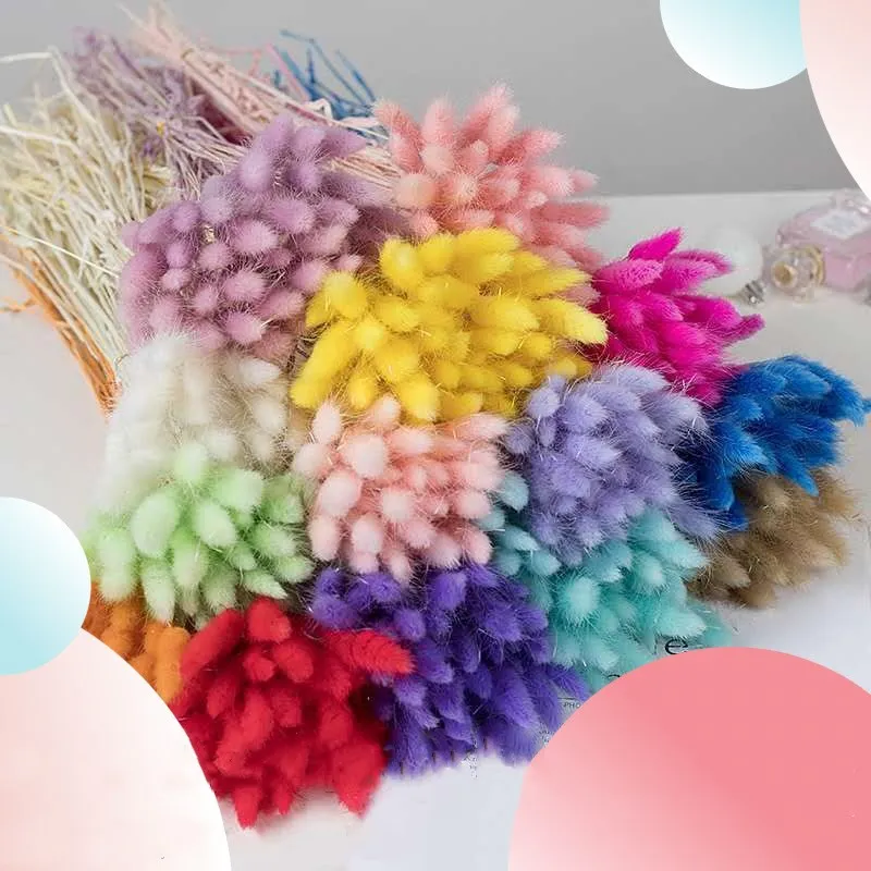 

30pcs Bunny Tails Dried Flowers Dried Fluffy Pampas Grass for Floral Arrangement Rustic Wedding Decoration Flowers Home Decor