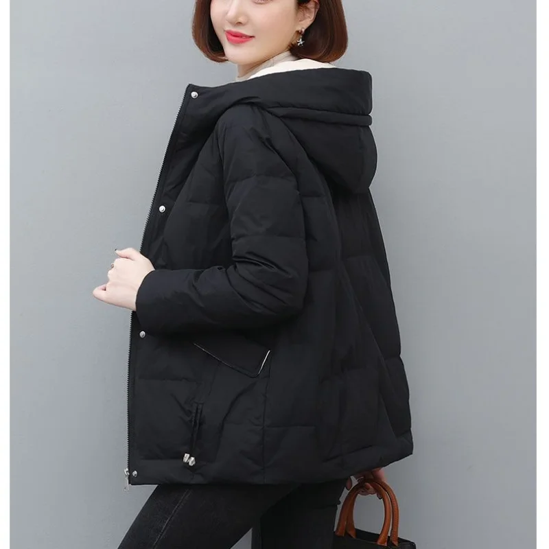 Cotton-padded Women 2023 New Winter Long Down Cotton-padded Jacket Korean Version of Loose Hooded Padded Cotton-padded Jacket