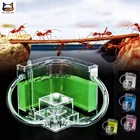 Муравьиная ферма, замок, соединительная трубка, муравейник, мастерская для обитания, набор для дома, обучающая игрушка, обучение поведению насекомых, 3D лабиринт, экосистема