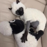 Шубка для котика#1