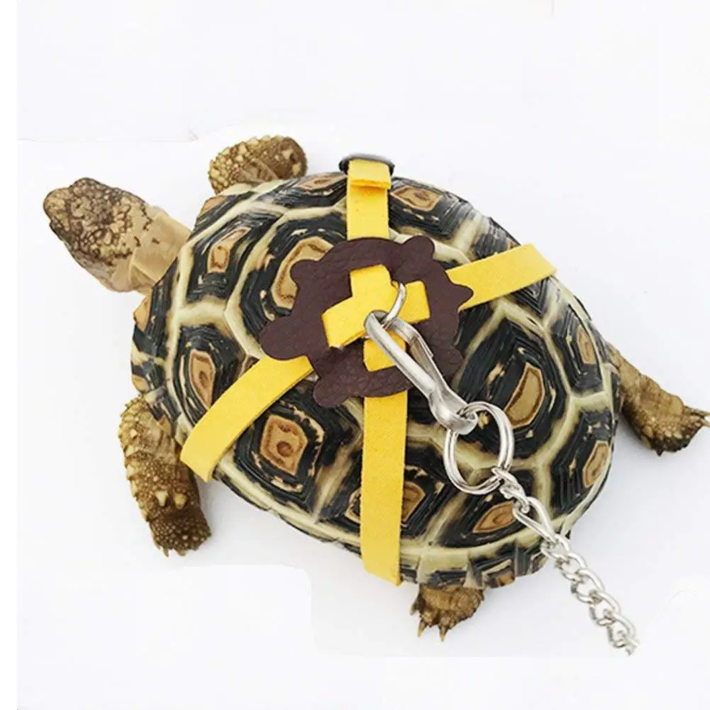 

Pet Turtle Traction Belt Control Rope Training Belt Walking Lead Pet Supplies