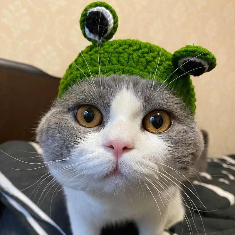 

1PC S/M/L Cat Supplies Headdress Dog Ears Autumn and Winter Knitted Frog Shape Small Milk Cat Small Cartoon Pet Wool Cute Hat
