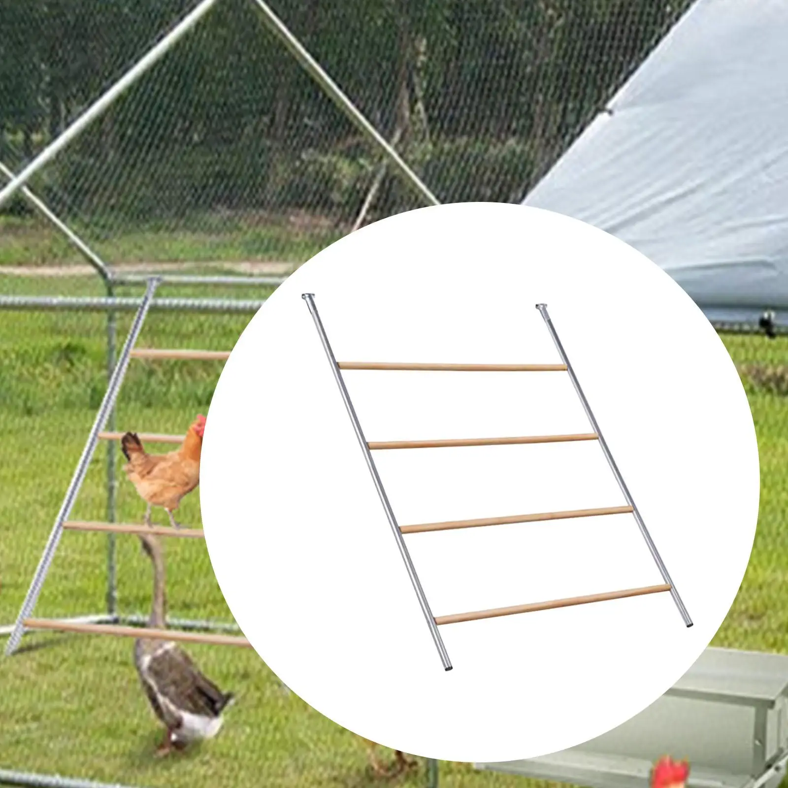 Куриный окунь игрушка для курицы куриный корня