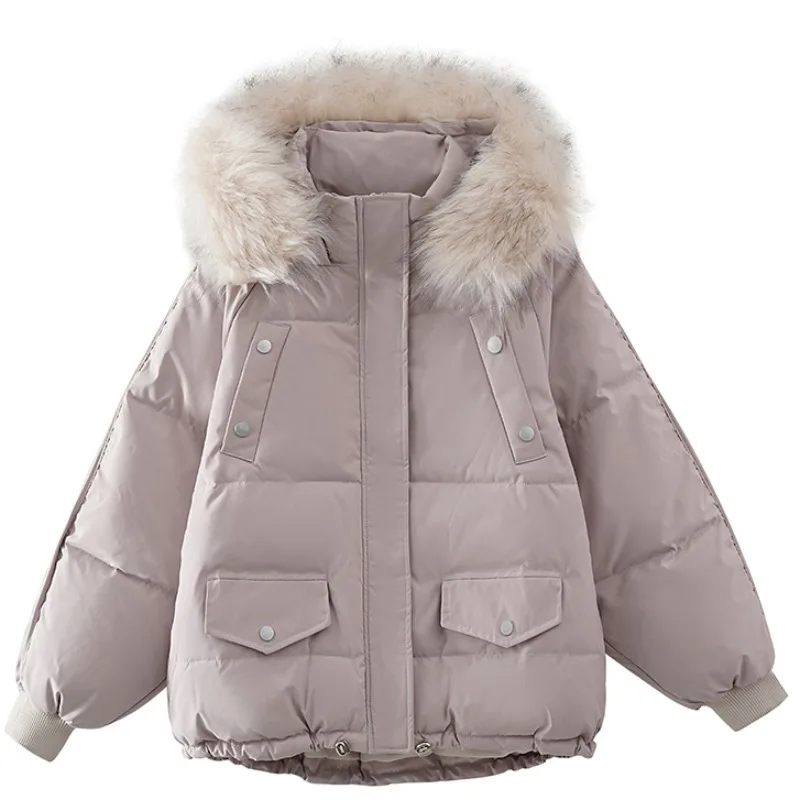 2024 Autumn and Winter New Western Sle Down Cotton Clothes BF Internet Celebri Ins Hong Kong Thickening ... |