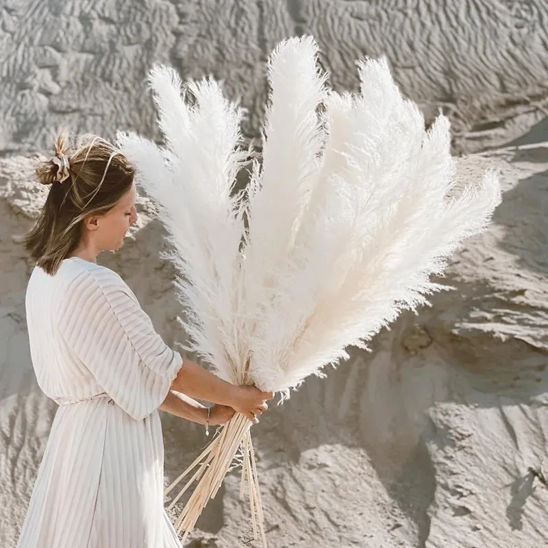

5pcs 80cm Pampas Grass Large Decorative Dried Flowers Natural Living Room Decoration Fluffy Home Decor Bouquet For Wedding Party