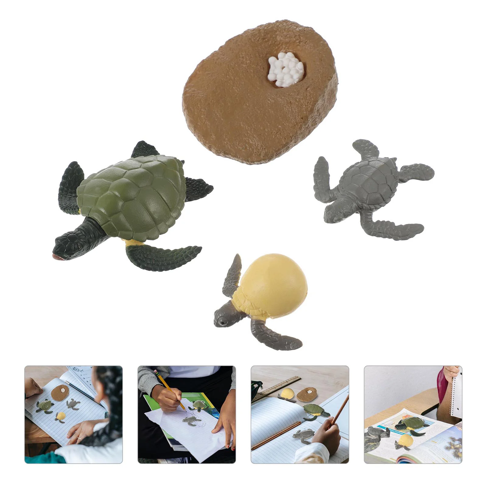 

4pcs Animal Models Life Cycle Figurines Kids Toddler Early Learning Model Toys