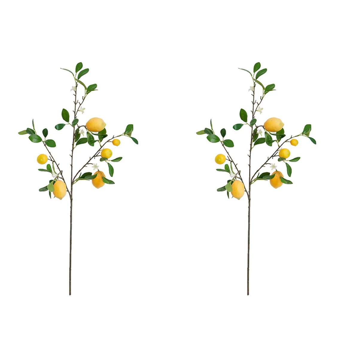 

2x Lemon Picks Lemon Stems Lemon Cutting Decor Flower Arrangement Branch Vase Decor Cutting Branch Lemon Decor