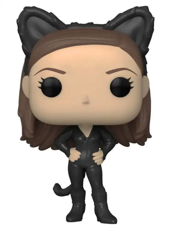 

Фильм друзья Моника Геллер как Catwoman1068 виниловые фигурки игрушки