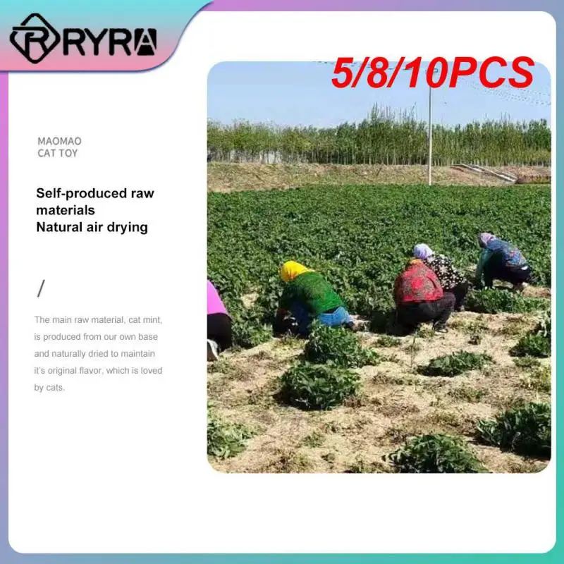 

5/8/10 шт., мяч для чистки зубов