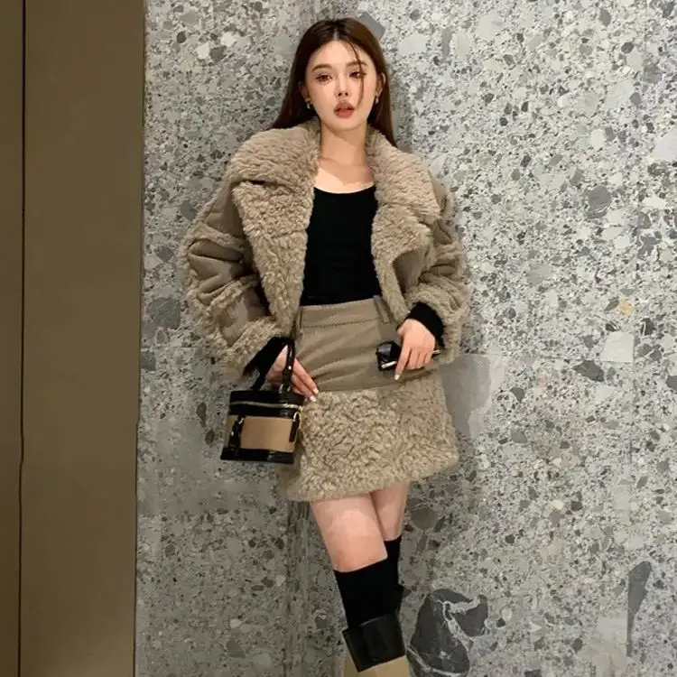 Корейское двухсекционное зимнее женское ретро-стиль модное пушистое короткое