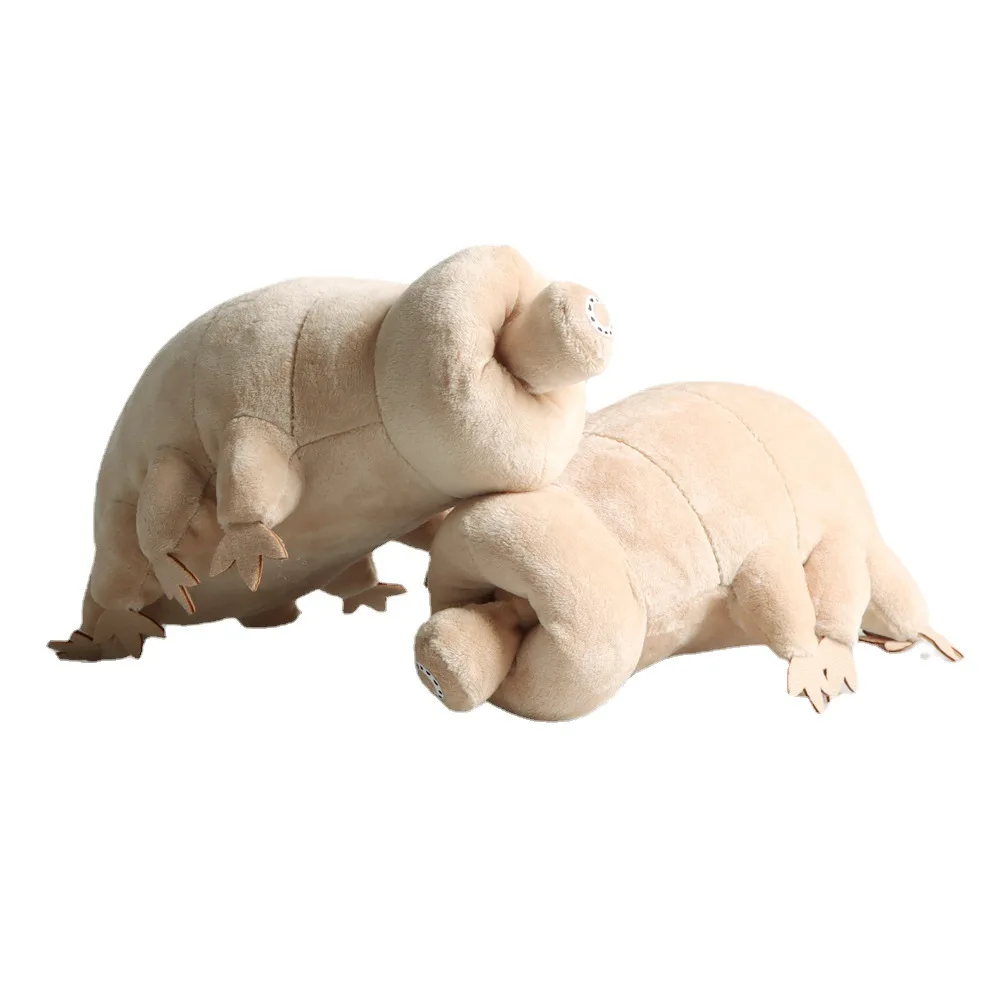 

25CM Cute Tardigrade Plush Toy Soft Stuffed Animal Toy Lovely Water Bear Insect Doll Kids Educational Toy Boys Birthday Gift