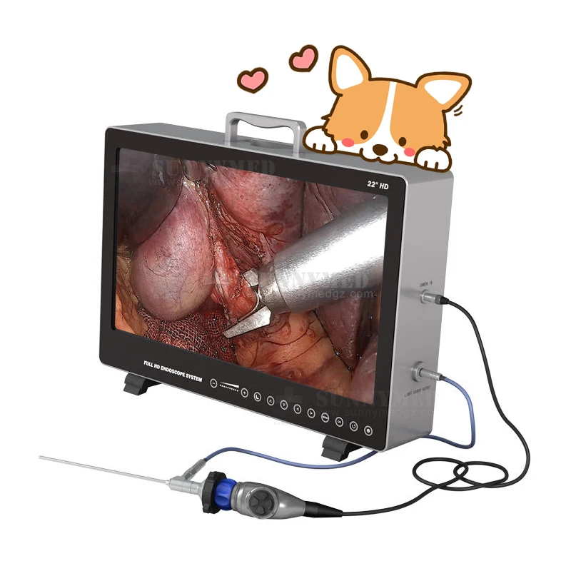 

SY-PS050 Veterinary 22 Inch 4 in 1 HD hysteroscopy 1920*1080P endoscope full hd system