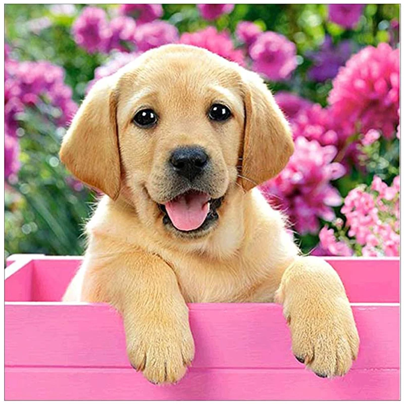 

5D DIY Diamond Painting Animal Dog Full Round Drill Diamond Embroidery Mosaic Flower Art Cross Stitch Kits Home Decoration Gift