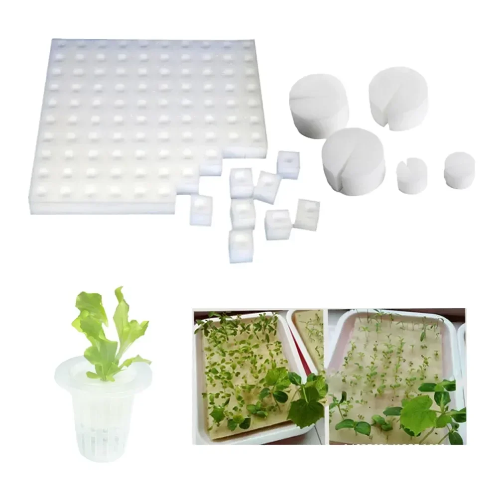 Гидропоника беспочвенная губка для выращивания рассады гидропокрытие семян