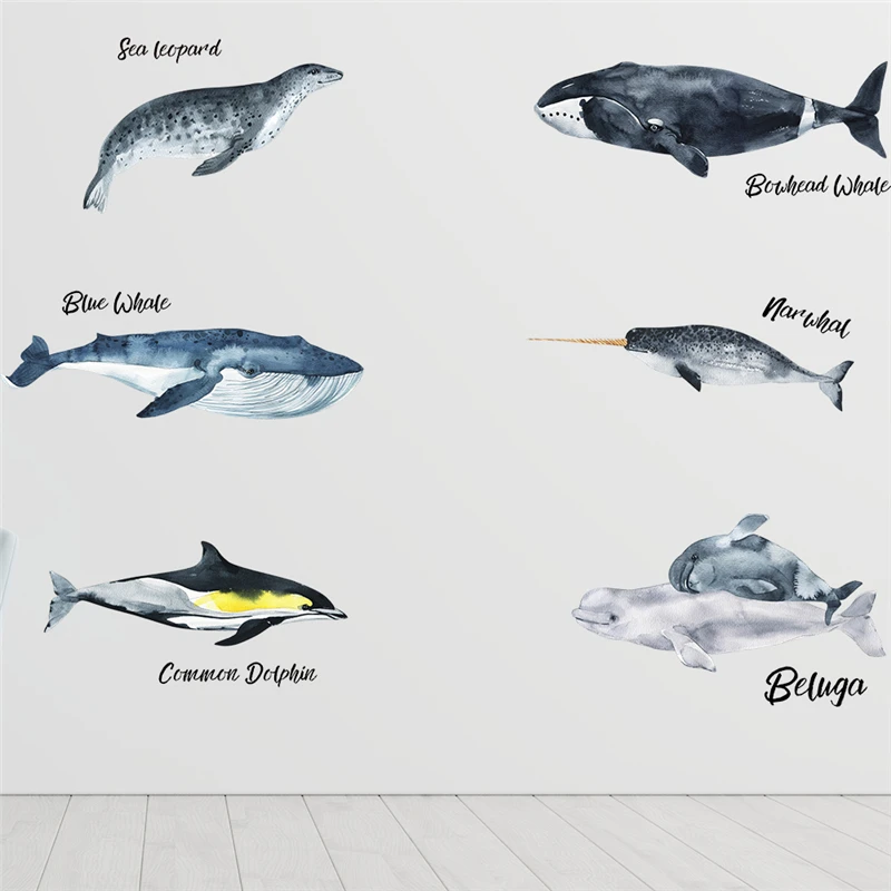 

Dolphin Whale Narwhal Beluga Pattern Wall Stickers For Shop Studio Office Home Decoration Ocean Fish Mural Art Pvc Decals Poster