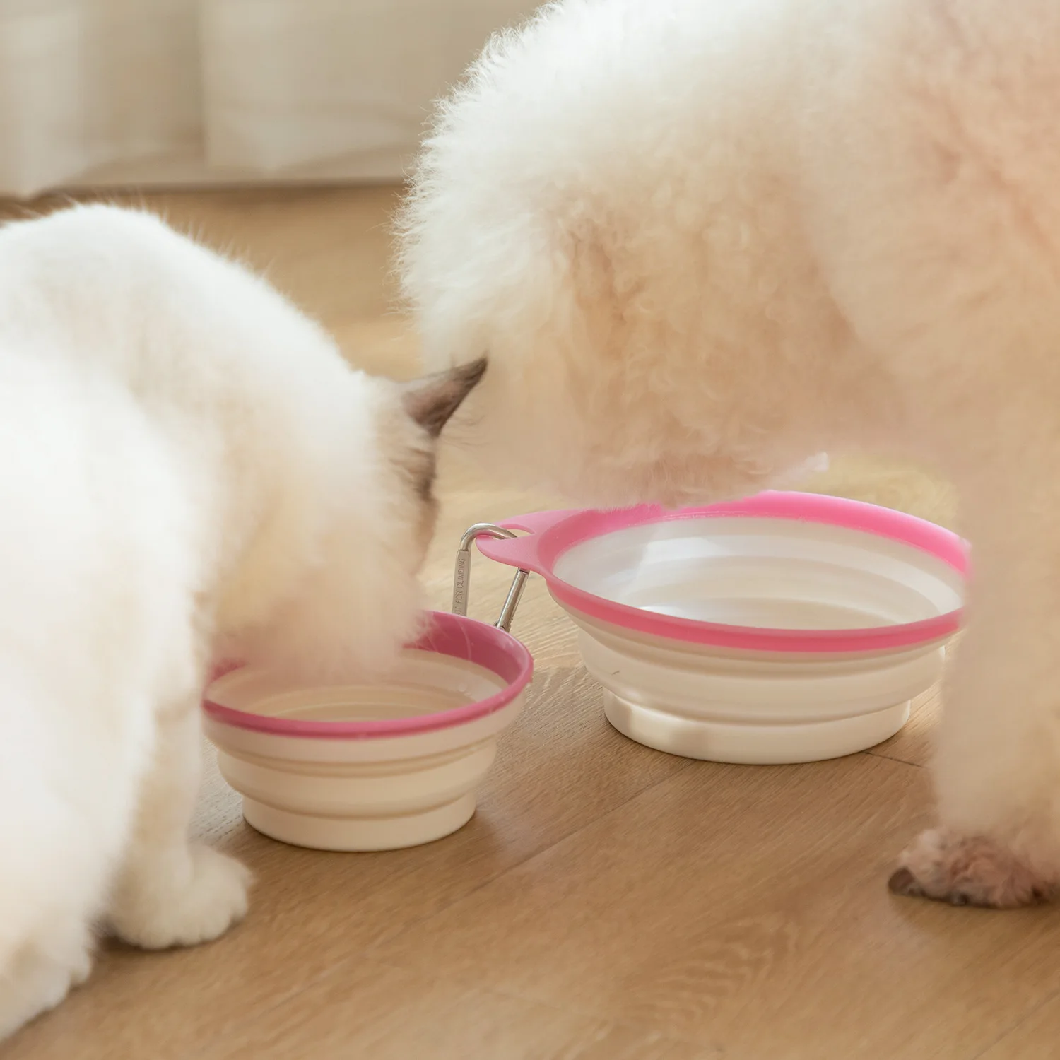 

Collapsible Dog Portable Folding Container Outdoor Food Pet Silicone Pet Feeding Bowl Large Bowl Water Food Travel Container