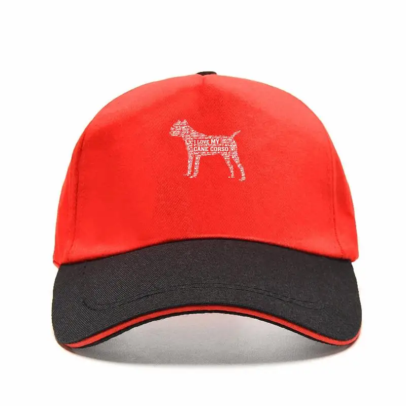 

Новая трендовая популярная шапка с принтом «купюр», «мне нравится мой тростник Корсо». Забавные индивидуальные кепки для домашних животных