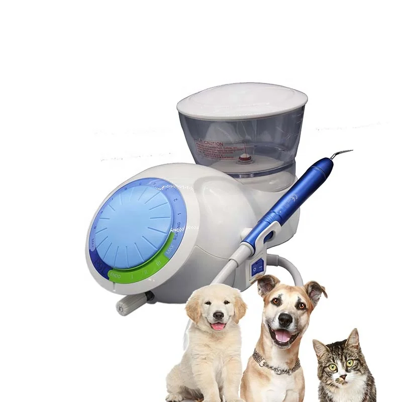 Vet Pets LED De ntal Ультразвуковой скалер Ветеринарный автоматический водоснабжение