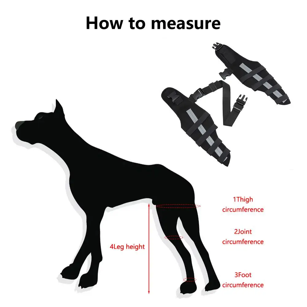 How To Measure Doberman Height