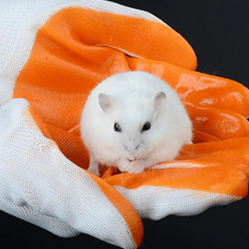 

Small Pets Biteproof Gloves Smashproof Hand Protection Gloves Anti Bite From Hamster Rabbit Chinchillas Guinea Pigs