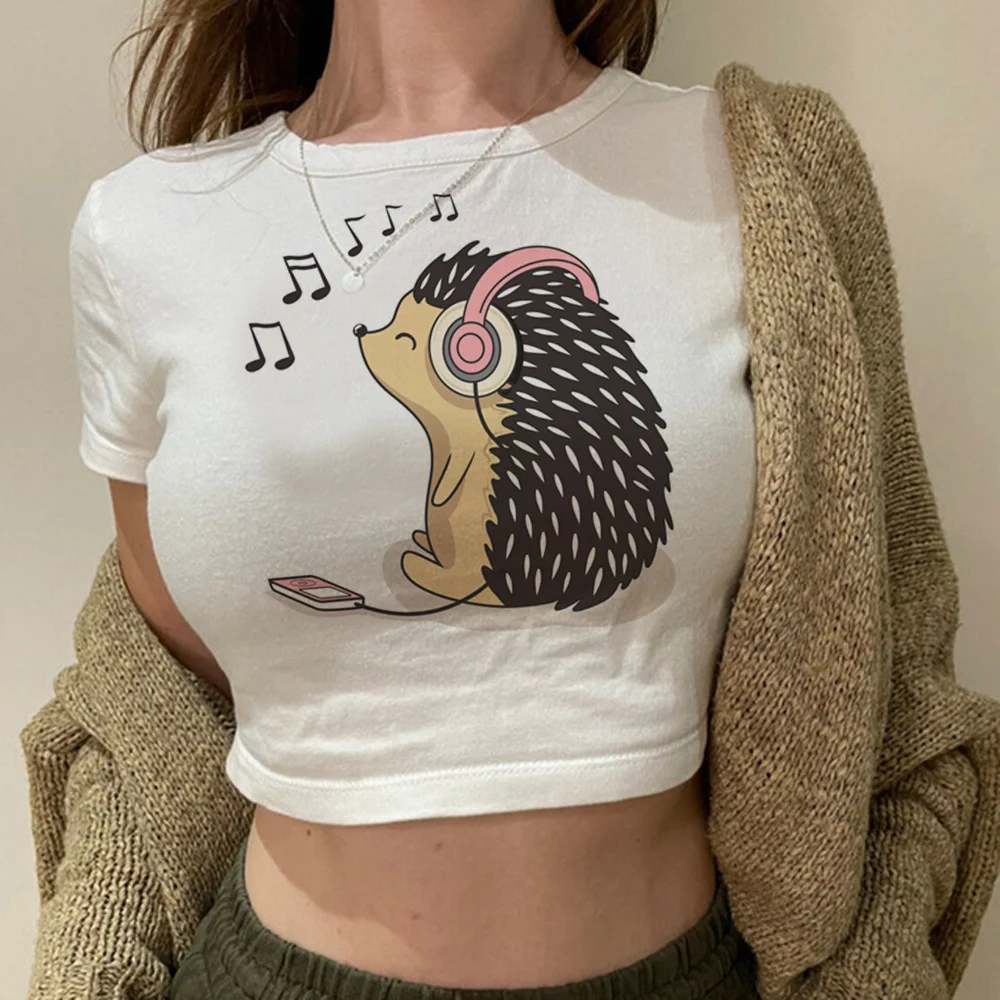 

Уличная Одежда Hedgehog, винтажная фея, гранж, кроп-топ для девушек, trashy kawai graphic yk2 одежда