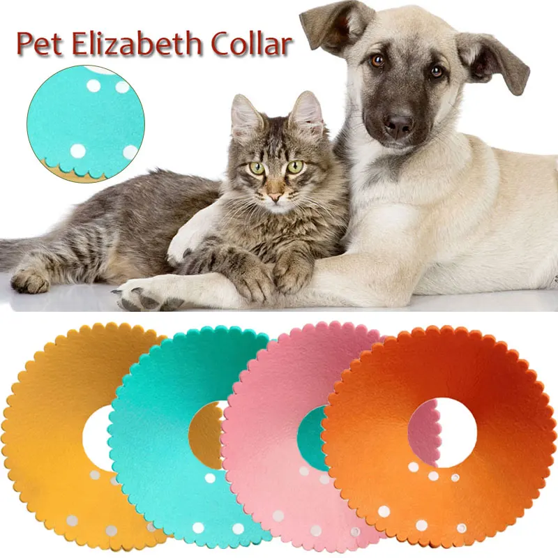

Cat Protective Collar Recovery Elizabethan Collar Wound Healing Anti-Bite Anti-Lick Neck Cone Pet Collar for Small Dog Cat S-L