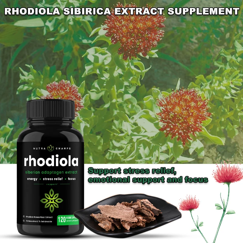 

Добавки Rhodiola, Сибирский корень и Салидрозид-ночная концентрация, долговечные таблетки для стресса, настроения, фокусировки и энергии