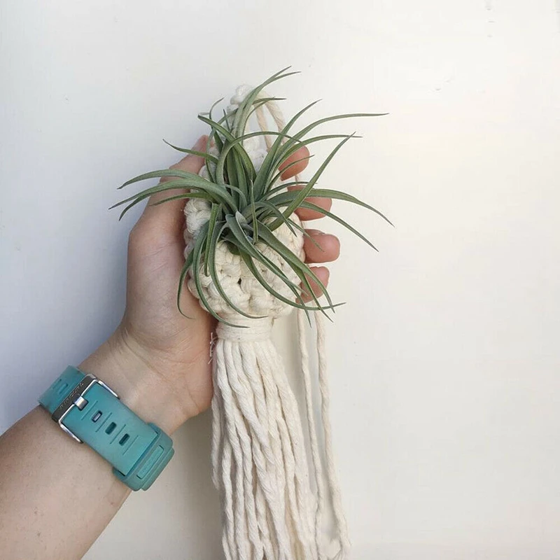 Вешалка для воздушных растений в стиле бохо макраме Tillandsia подвесная корзина