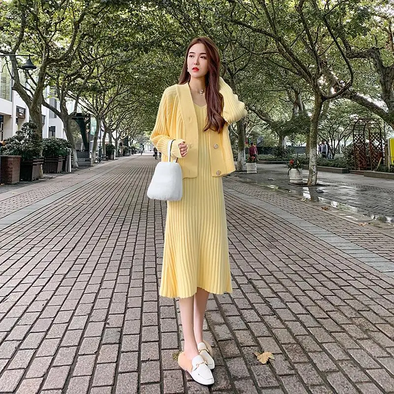 

New Woman Autumn Long-sleeved Top Cardigans Female Two-piece Suit Sweater Dresses Ladies Wild Loose Knit Two Piece Suits G308