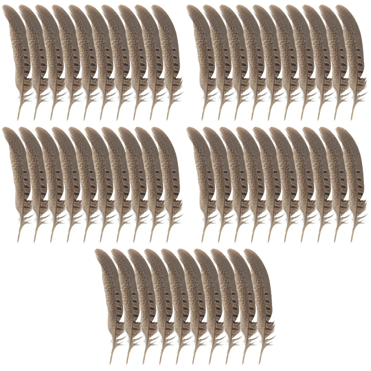 

5pcs 1 Bag of DIY Pheasant Plumes Dream Catcher Making Natural Pheasant Plumes Material for Hat Hair