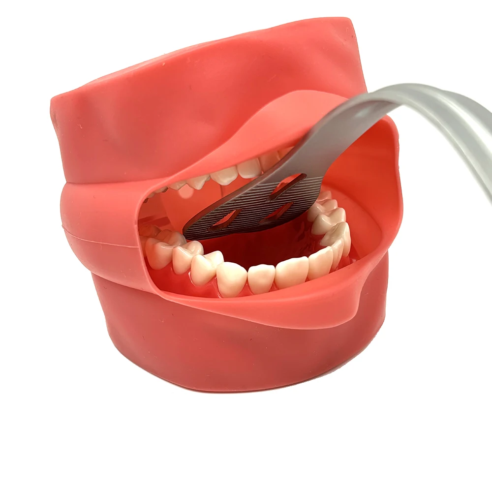 Стоматологический открывалка для рта из нержавеющей стали стоматологический