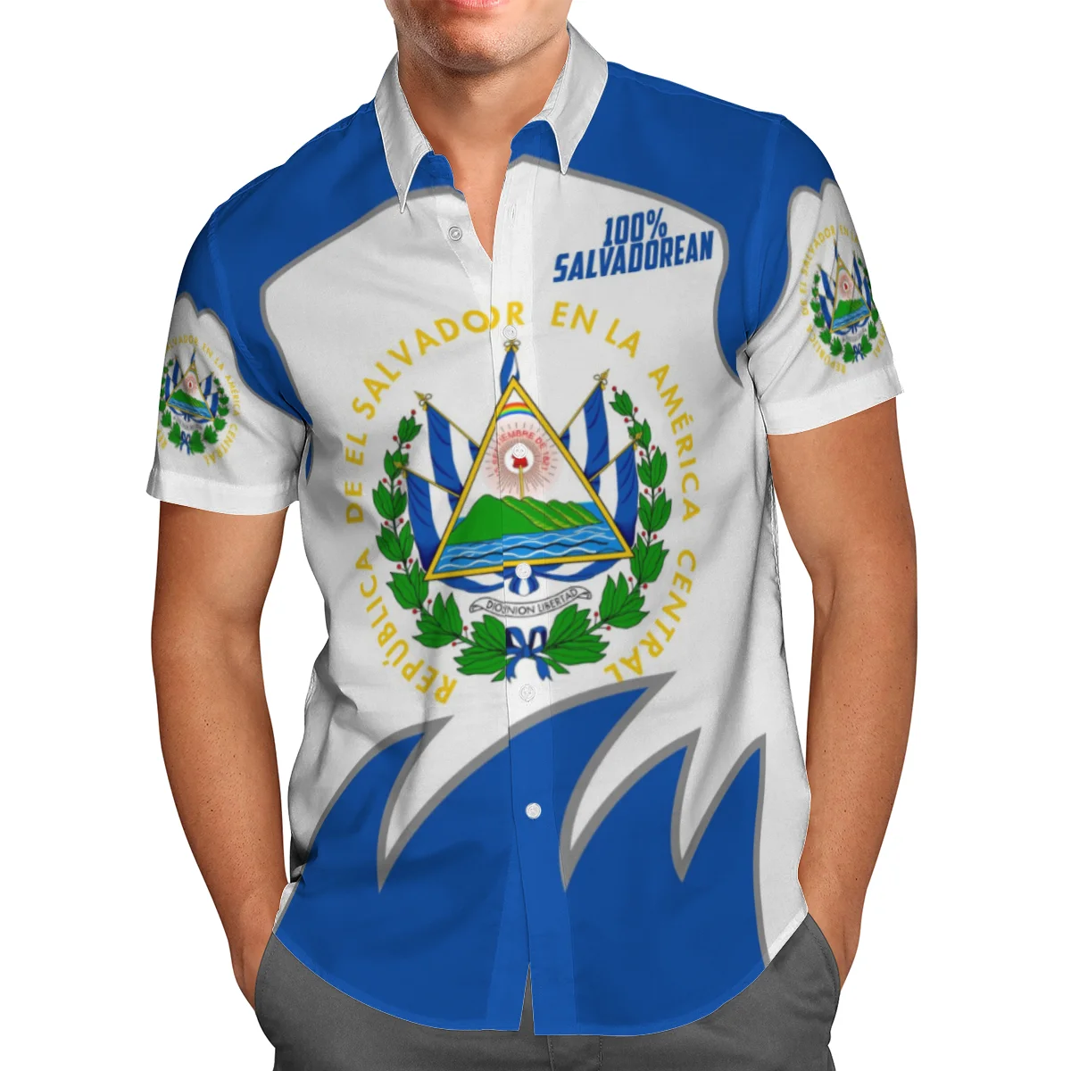 

Новые Гавайские рубашки для мужчин, 3D рубашки с коротким рукавом, свободные Гавайские размеры 5XL, гавайская пляжная одежда для бара, летние р...