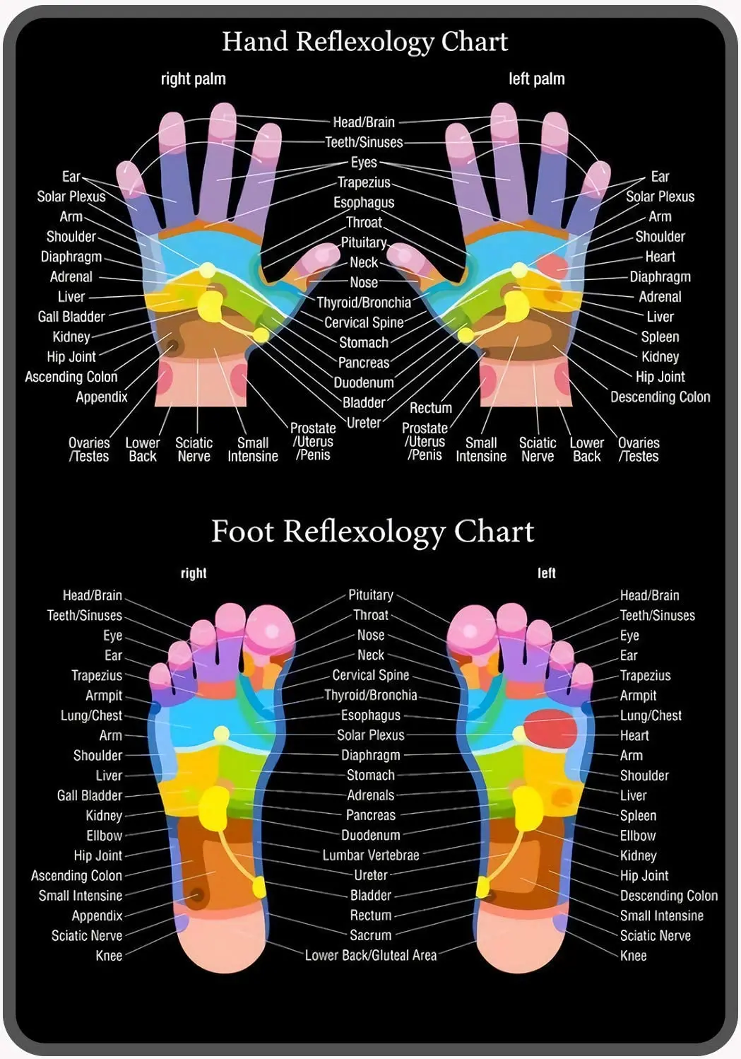 

Hand Reflexology Chart Metal Tin Sign 8x12 inch Vintage Retro Sign Decor for House Bar Pub Plaque Poster Wall Art Sign