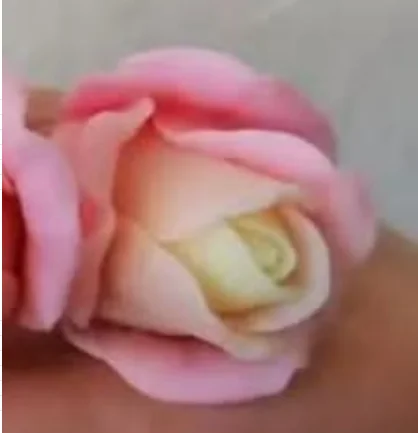 

Формы для мыла PRZY 3D тюльпан из силикона