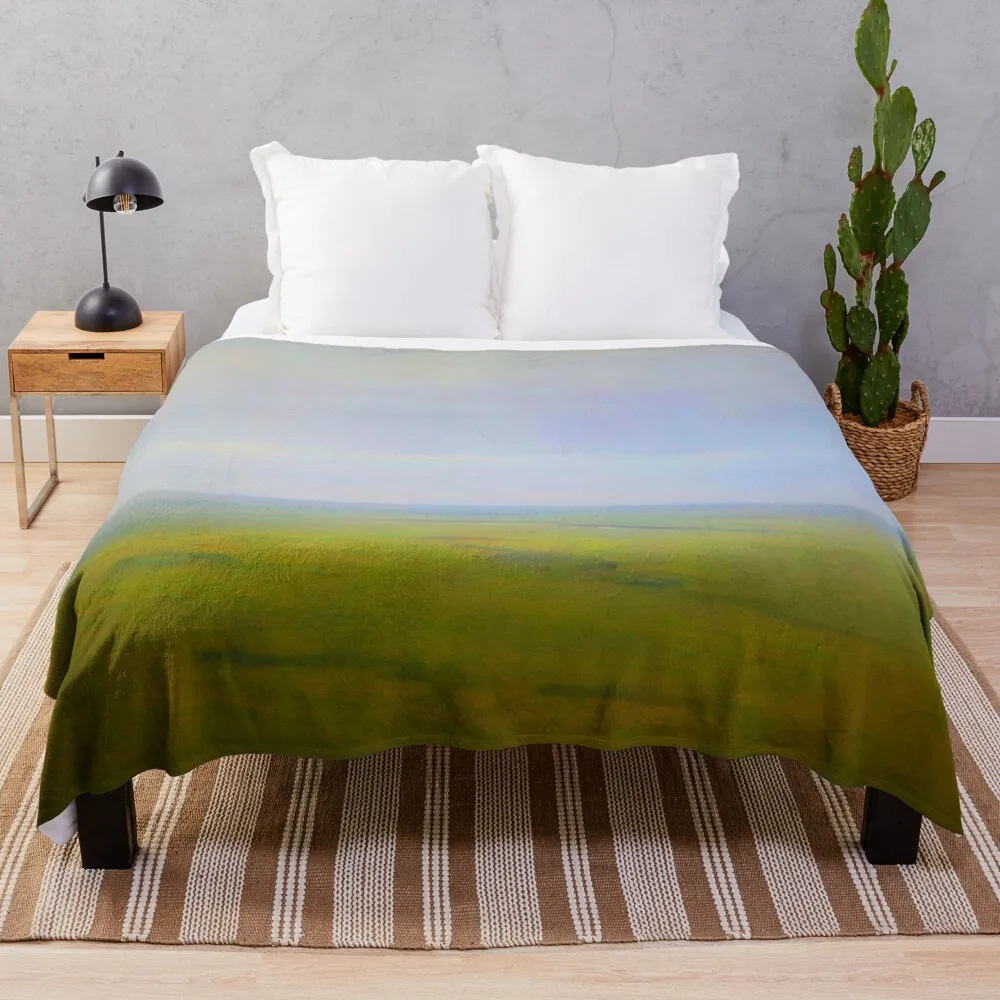 Пейзаж. Steppe By Arkhyp Kuindzhi Vibante Edition Плед Большие одеяла с начинкой для волос