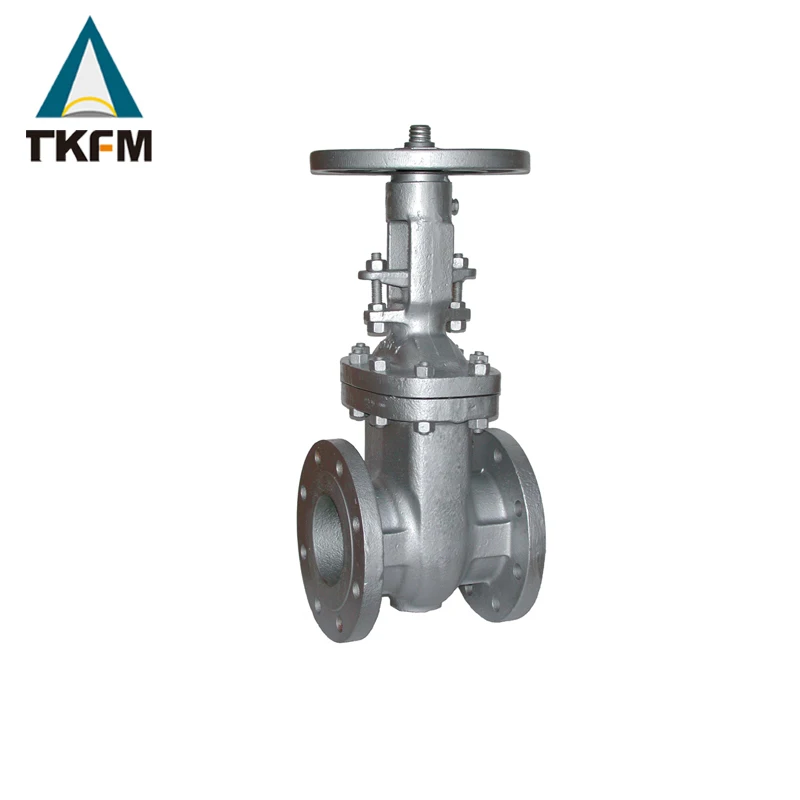 TKFM высокотемпературный пар давления 8 6-дюймовый Класс 150 подъемный стволовой