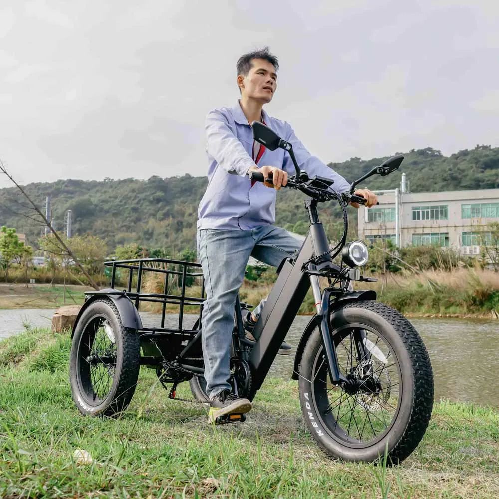 Популярный 3-колесный электрический велосипед 250 Вт трехколесный с толстыми